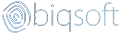biqsoft.com